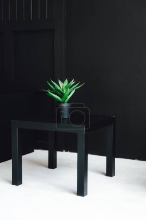 Foto de Interior del hogar en blanco y negro con una planta - Imagen libre de derechos