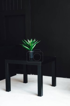 Foto de Foto en blanco y negro de una hermosa planta en una olla - Imagen libre de derechos