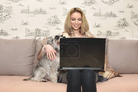 Téléchargez les photos : Blonde Woman covered with a warm blanket sits on the sofa at home with her schnauzer dog and smiles happily while chatting by video call on a laptop. - en image libre de droit