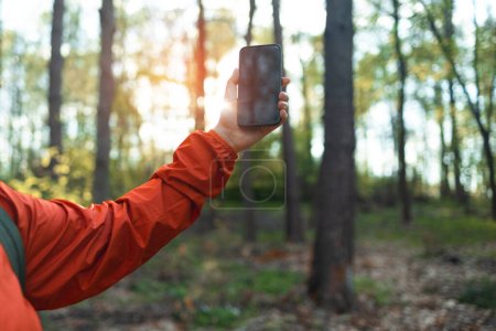 Téléchargez les photos : Main de jeune femme avec signal de capture smartphone à la forêt en bois. Road trip, transport, voyage, technologie et concept de personnes - en image libre de droit