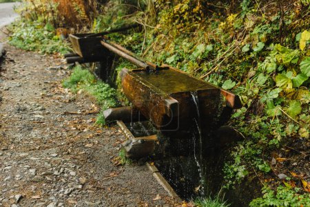 Source d'eau abondante dans les montagnes. Il s'appelle Deer Spring. Source d'eau potable pour les touristes. Photo de haute qualité