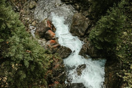 Cascade de rivière sauvage dans la forêt de montagne. Photo de haute qualité