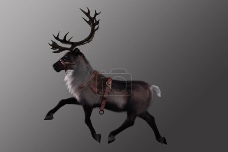 Reindeer trotting on grey background