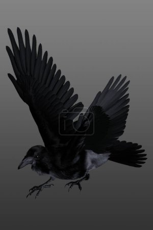 Foto de Hermoso cuervo viniendo a tierra - Imagen libre de derechos