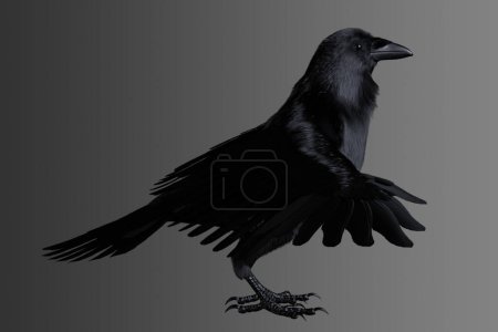 Foto de Orgulloso cuervo posando para foto de perfil - Imagen libre de derechos