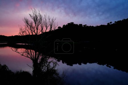 Téléchargez les photos : Silhouette d'un arbre au coucher du soleil sur une rivière à Belver, Portalegre, Portugal - en image libre de droit