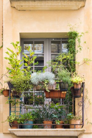 Téléchargez les photos : Photo de fenêtres sur une vieille maison avec pots de fleurs à Dieppe, France - en image libre de droit