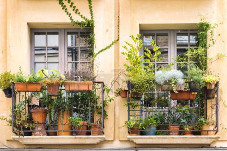 Téléchargez les photos : Picture of windows on an old house with flower pots in Dieppe, France - en image libre de droit