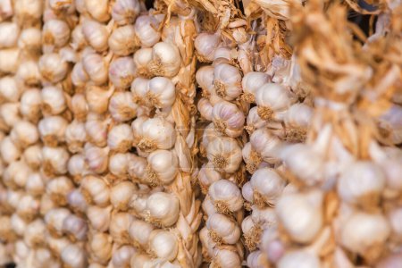 Téléchargez les photos : Picture of hanging garlic plaits at a market stall - en image libre de droit