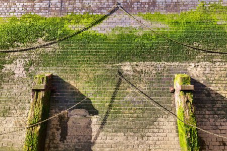 Foto de Imagen de una pared de muelle hecha de piedras con crecimiento de algas - Imagen libre de derechos