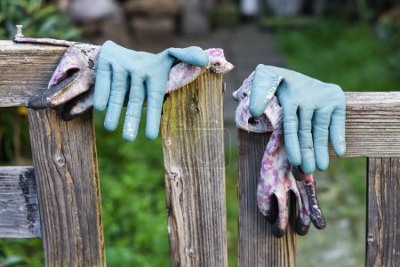 Foto de Imagen de los viejos guantes de jardinería cuelgan sobre una puerta de jardín de madera - Imagen libre de derechos
