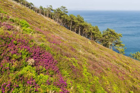 Foto de Imagen del paisaje costero cerca de la Pointe des Espagnols en la península de Crozon, Bretaña, Francia - Imagen libre de derechos