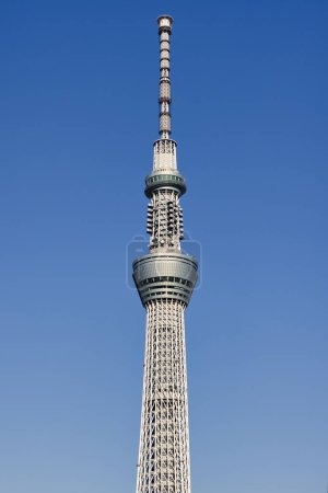 Téléchargez les photos : Tokyo, Japon - 09 avril 2023 : vue sur Tokyo Skytree avec un ciel bleu clair. Tokyo Skytree est une tour de diffusion et d'observation à Sumida, avec une hauteur de 634 m - en image libre de droit