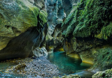 L'eau turquoise de la rivière qui coule le lichen et la mousse recouvre les murs du gouffre dans le magnifique gouffre de Patuna