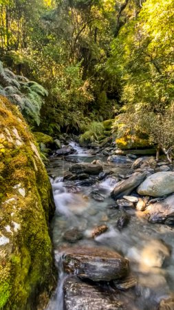 Photo for Fast Flowing river rapids deep in lush native bush in Roberts Point Track in the West Coast of New Zealand - Royalty Free Image