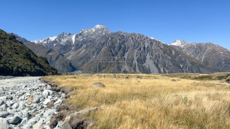 Téléchargez les photos : La rivière Tasman qui coule dans les prairies alpines de la vallée de Tasman Parc national du Mont-Cook - en image libre de droit