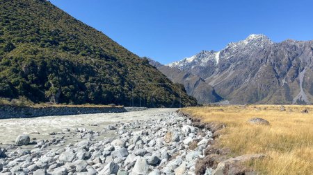 Téléchargez les photos : La rivière Tasman qui coule dans les prairies alpines de la vallée de Tasman Parc national du Mont-Cook - en image libre de droit