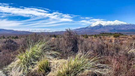 Téléchargez les photos : Le terrain volcanique du parc national dans le côté ouest du plateau central de la Nouvelle-Zélande - en image libre de droit