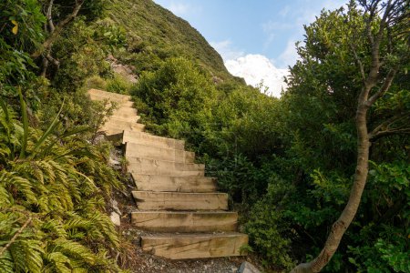 Téléchargez les photos : Paysages de montagne de la promenade Sealy tarns dans le parc national Aoraki Mt Cook - en image libre de droit