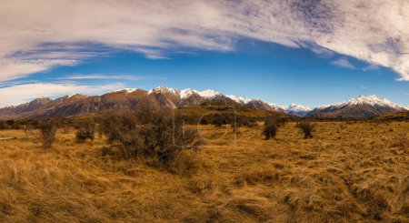 Walking through alpine grasses and thorny bushes towards Mt Sunday (Edoras from Lord of the Rings) with a backdrop of the snow capped Southern Alps