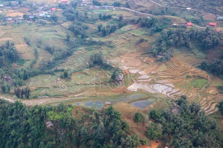 Téléchargez les photos : Terrasses de riz dans les montagnes de sapa, vietnam. - en image libre de droit