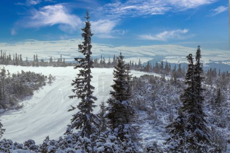 Ski track on mountain top in the middle  snow-covered pine forest overlooking the valley. High Tatras. Strbske Pleso. Slovakia