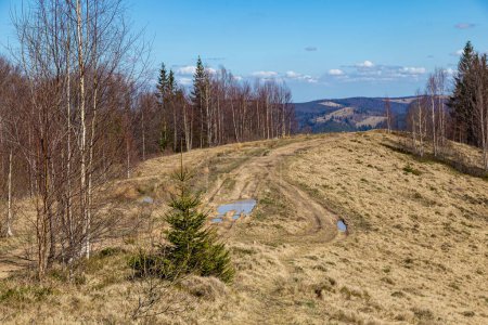 Foto de Landscape with hiking trail against the background of mountain peaks.Yavirnyk mountain range.  Carpathians. Ukraine. Tourist landmark, active touris - Imagen libre de derechos