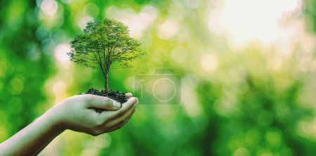 Photo for Tree planting on volunteer family's hands for eco friendly and corporate social responsibility campaign concept - Royalty Free Image