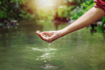 Woman's hand touching water in the midst of nature