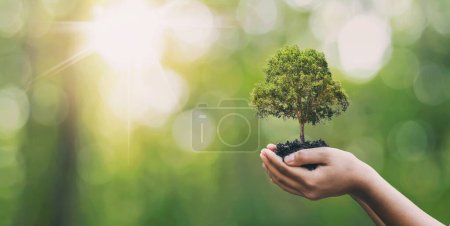 Photo pour Plantation d'arbres sur les mains de la famille bénévole pour un concept de campagne écologique et de responsabilité sociale des entreprises - image libre de droit