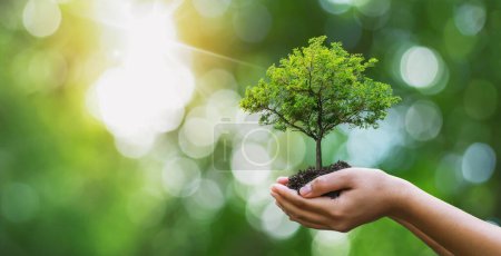 Plantation d'arbres sur les mains de la famille bénévole pour un concept de campagne écologique et de responsabilité sociale des entreprises