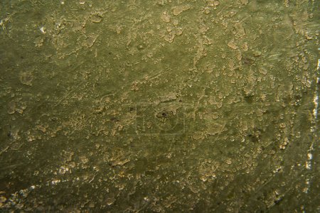 Una vista detallada de cerca de una superficie sucia y grumosa, que muestra la textura y las capas de suciedad acumuladas.