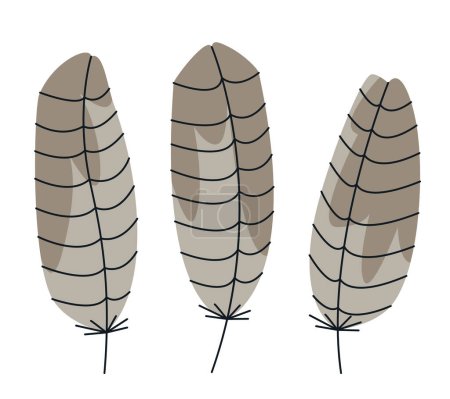 Téléchargez les illustrations : Set of buzzard feathers in doodle style. Beautiful design elements. - en licence libre de droit