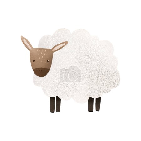 Weiße Cartoon-Schafe. Niedliche Zeichentricktiere. Landwirtschaftliche Nutztiere. Niedliche handgezeichnete Baby-Illustration auf isoliertem Hintergrund