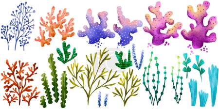 Conjunto marino con algas y corales. Ilustración dibujada a mano para niños sobre fondos aislados