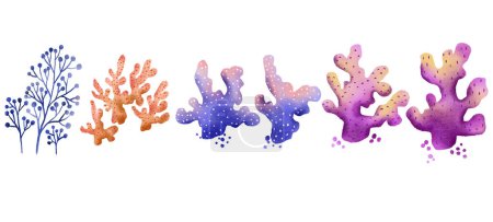 Set of sea colored algae and corals. Bright plants. Underwater flora. Hand drawn illustration on isolated backgroun