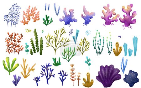 Set of hand drawn sea colored algae and corals. Fairytale plants. Underwater flora. Hand drawn illustration on isolated backgroun