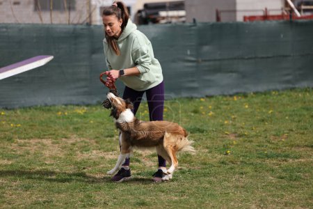 Hund mit Hundeführer läuft Acrowippe im Agility-Wettbewerb