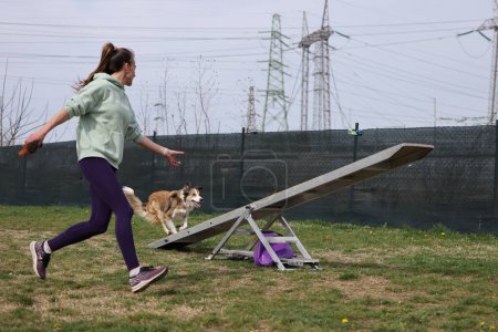 Hund mit Hundeführer läuft Acrowippe im Agility-Wettbewerb