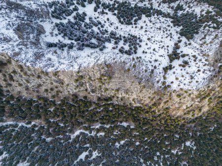 Téléchargez les photos : Aerial details of the bad winter season, little snow and the texture of the forest - en image libre de droit