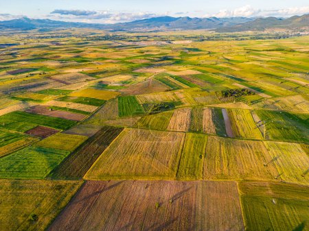 Téléchargez les photos : Très grandes terres agricoles dans la région de Konya, plaines de blé / Turquie - en image libre de droit