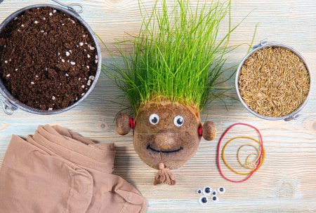 Making of cute homemade grass head toy with various supply tools. Grass seeds, tights, eyes, rubber band and soil. Lot of copy space on blue wood pattern background. Make grasshead.