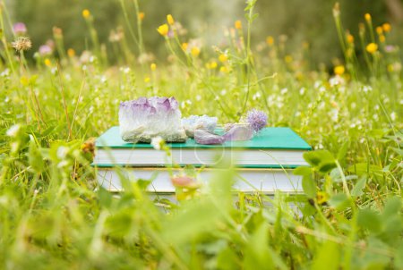 Téléchargez les photos : Self help ou ésotériques livres à thème en pile avec des géodes de cristal à l'extérieur dans la journée ensoleillée d'été avec jardin prairie nature blokeh sur fond. - en image libre de droit
