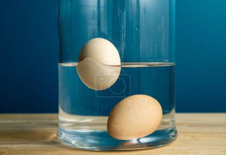 Photo for Comparison with fresh edible and old rotten egg. Fresh edible chicken egg is sunken bottom of the glass jar and bad old rotten egg is floating above water. Inside home kitchen. - Royalty Free Image