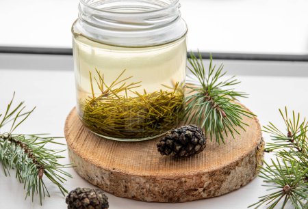 Photo for Making syrup of fresh pine needles. Glass jars with needles infused with water in home kitchen. - Royalty Free Image