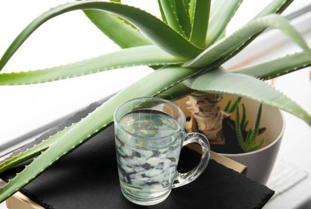 Photo for Selective focus on aloe vera juice drink with fruit flesh pieces floating inside. Healthy homemade drink with aloe vera plant growing on the background. - Royalty Free Image
