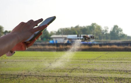 Photo for Hand using smartphone control drone spraying fertilizer on farm in harvest time - Royalty Free Image