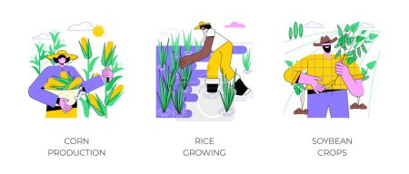 Téléchargez les illustrations : Raffinage de produits agricoles isolés illustrations vectorielles de dessins animés ensemble. Production de maïs, agriculteur cultivant des plants de riz au champ, cultures de soja, entreprise agricole, processus de récolte dessin animé vectoriel. - en licence libre de droit