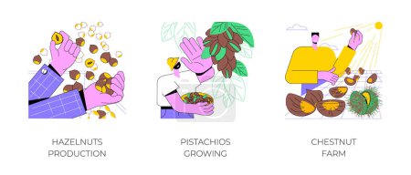 Illustration for Tree nuts production isolated cartoon vector illustrations set. Farmer controls hazelnuts production, pistachios commercial growing, chestnut farm, harvesting season, agribusiness vector cartoon. - Royalty Free Image