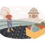Harvesting isolated concept vector illustration. Collecting crops and vegetables, crop rotation, sustainable gardening, growing season, gestation period, homegrown food vector concept.